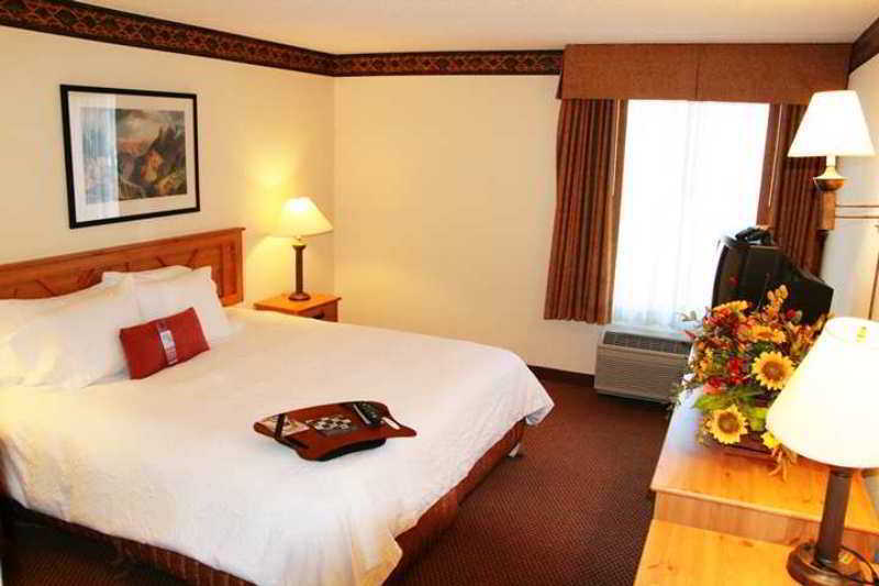 Hampton Inn Phoenix/Anthem Rum bild
